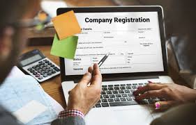 Building A Strong Foundation For Your Business: 9 Key Components For Setting Up A Company 10 images 4 Pinnacle Accounting & Advisory