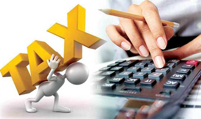 z p40 Income Pinnacle Accounting & Advisory